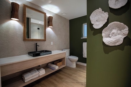 Shower, hair dryer, towels, soap. Tropical Suite 203 - The Agora a Boutique Hotel