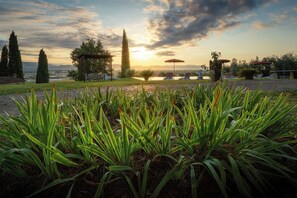 Property grounds - Panoramic Tuscan villa with infinity pool, exclusive use, private garden (Montecarlo)
