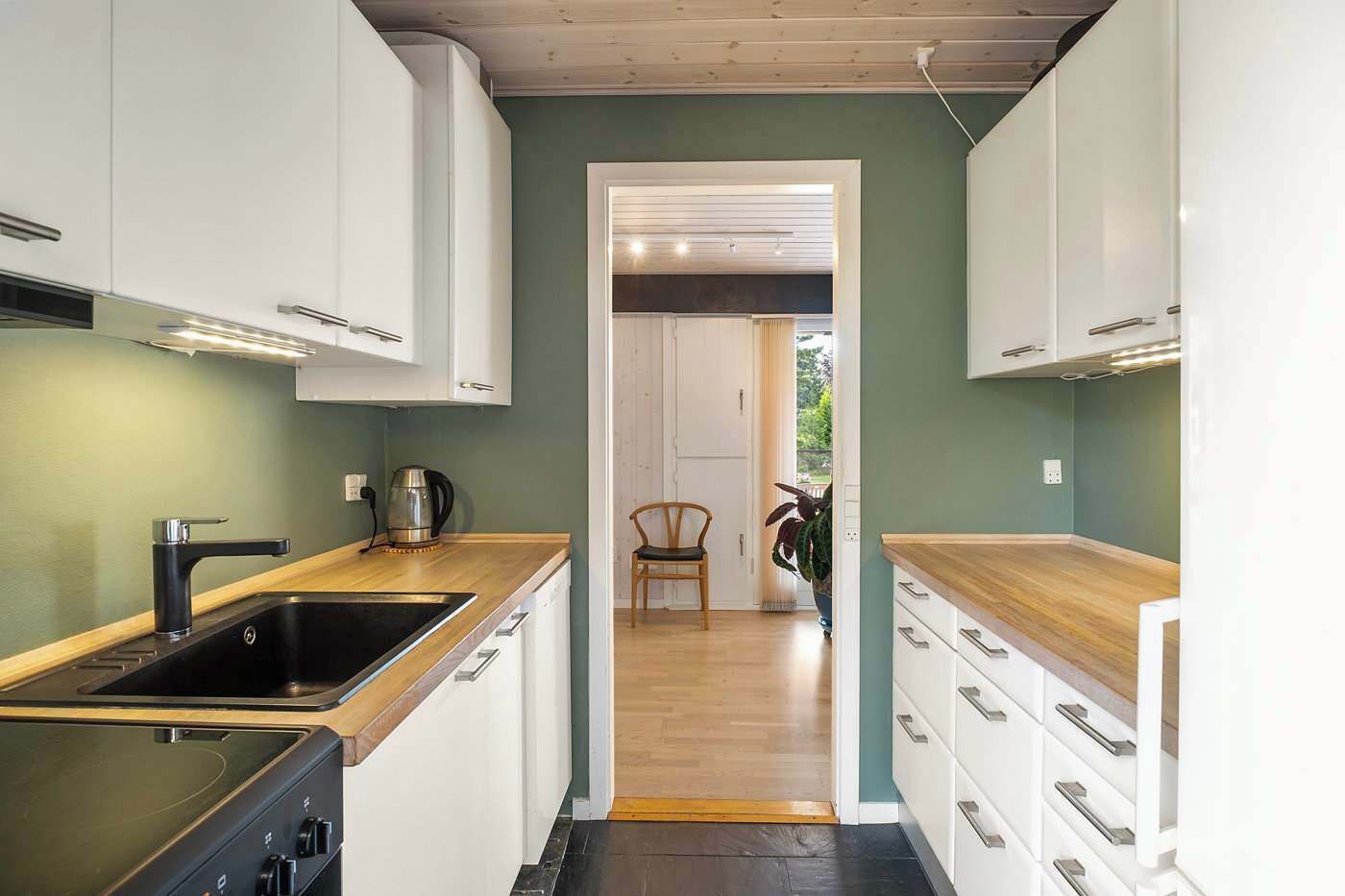 Fridge, microwave, stovetop, electric kettle