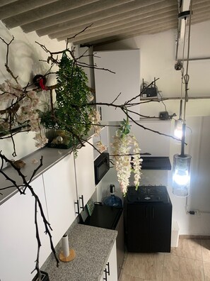 Geladeira, micro-ondas, cooktop, cafeteira/chaleira