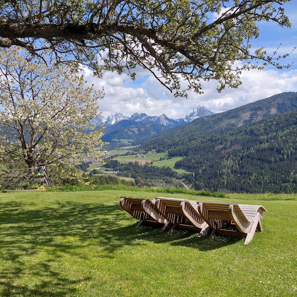 Eine hölzerne Bank in einer Wiese mit Blick auf die Berge.