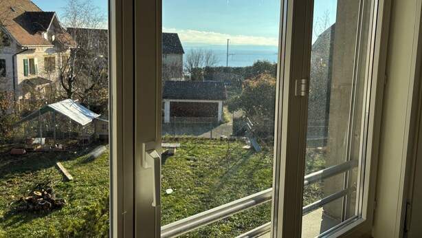 Blick durch ein Fenster mit Metallrahmen, der einen Rasen, eine Garage und Häuser im Hintergrund zeigt.