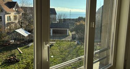 Apartment Lali Peseux/Neuchatel - 1 BR lake and Alps View with Balcony