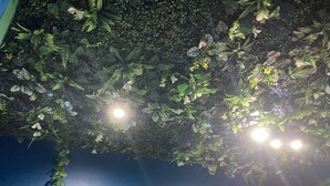 An indoor space with a ceiling covered in foliage and artificial lighting. - Maison Auvergnate Le repaire des Milans (Laveissière)
