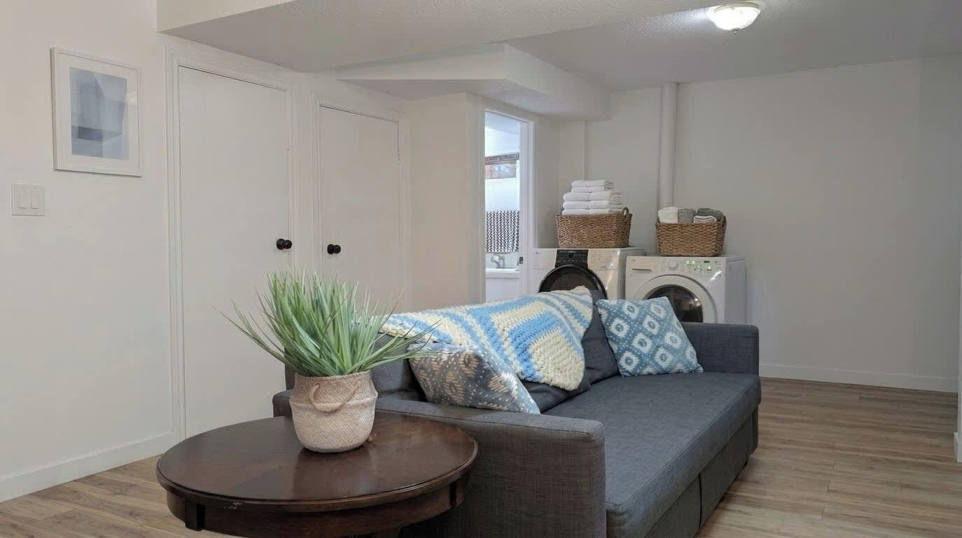 A living room with a grey sofa, a round wooden table with a plant, a washing machine, and a laundry basket.
