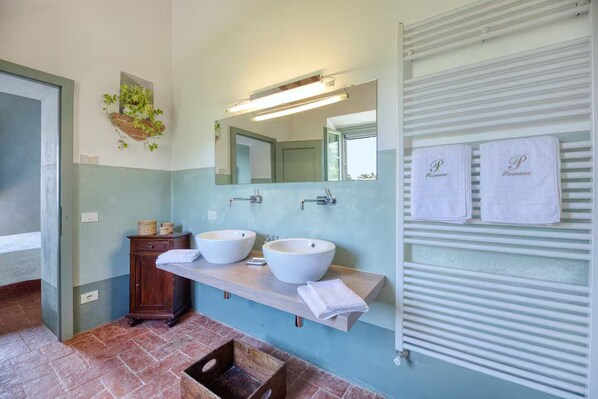 A bathroom with two sinks, a mirror, a towel rack, and a small plant.