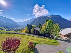 Property grounds - SYLVIA SV57 CENTER & NATURE 3 pers. (Châtel)