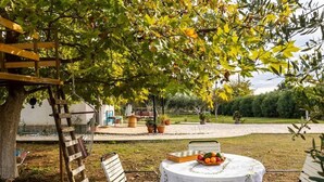 Une table ronde recouverte d’une nappe blanche, entourée de quatre chaises en métal, installée à l’extérieur, sous un arbre aux feuilles vertes et jaunes.