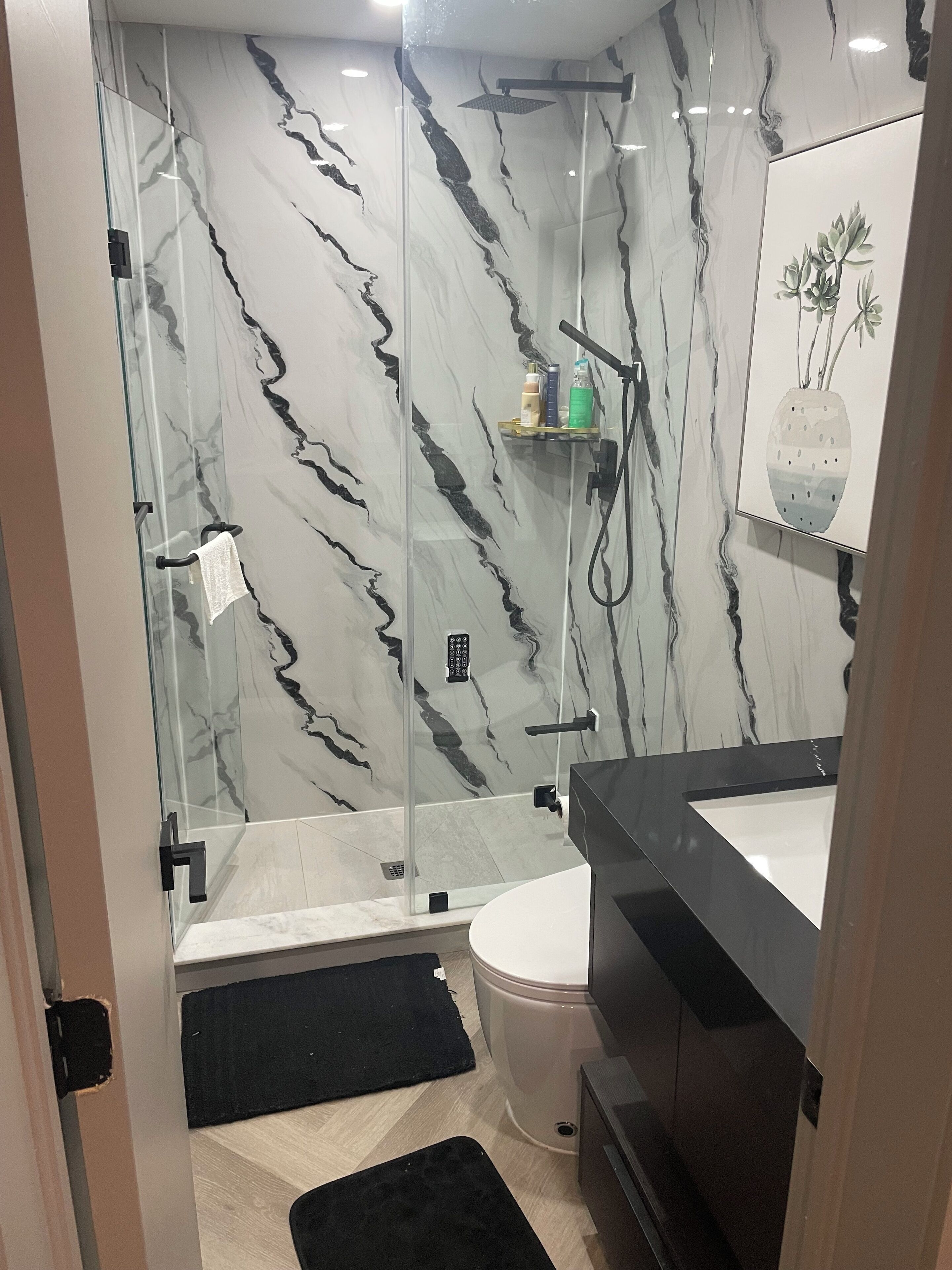 A modern bathroom with a glass-enclosed shower, a toilet, and a sink.
