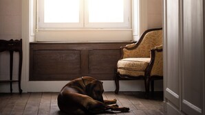Interior - Chambre Colibri, Country panorama and refined comfort at Domaine de la Briouse (Sanxay)
