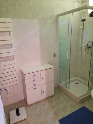 Chuveiro, secador de cabelo, papel higiênico 