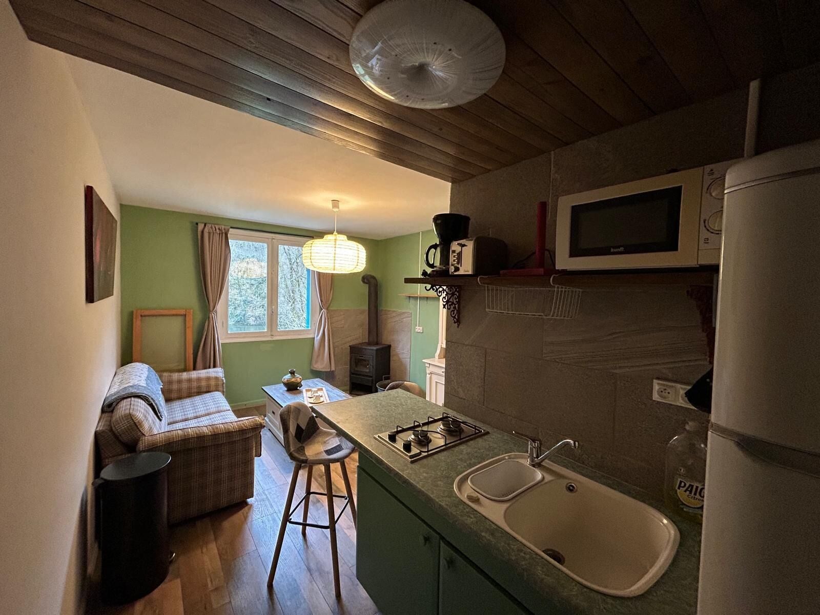 Apartment, River View | Living area