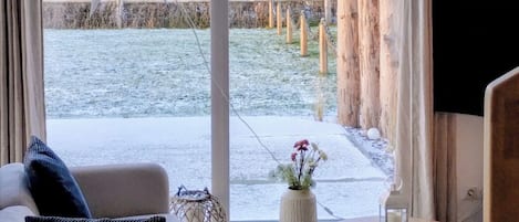 Televisión, chimenea y libros