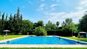 Una piscina rectangular con dos tableros de clavados, rodeada de césped cuidado y árboles.