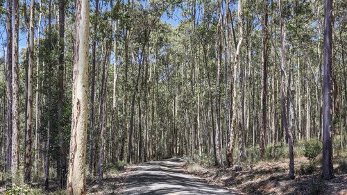 Tathra Bermagui Road 613