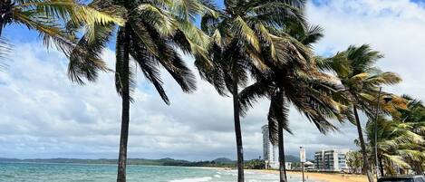 Espreguiçadeiras, toalhas de praia