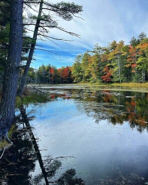 Imagen sin descripción, 2 de 36, botón