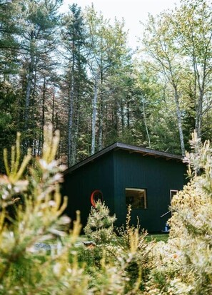 Property grounds - Spruce Studio: Near Beach+FirePit+Pond+Heat/AC+Fast WiFi (Georgetown)