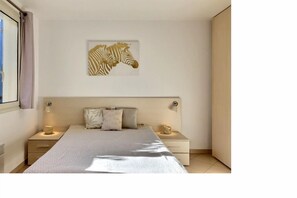 1 chambre, fer et planche à repasser