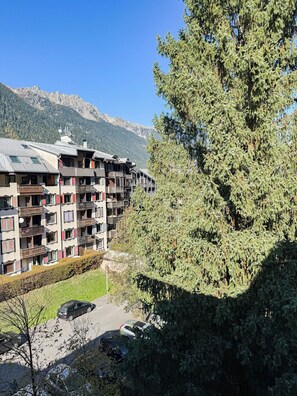 Exterior - Cosy apartment in the heart of Chamonix (Chamonix-Mont-Blanc)