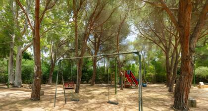A Nest at the Almond Tree Village, 10min walk from the beautiful Campus Beach