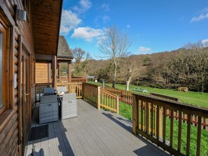 Terrace/patio - Trebah (Bodmin)