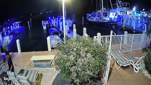 A marina with boats docked, a white fence, and lounge chairs. - Key Largo Waterfront 1 bedroom condo. (Key Largo)