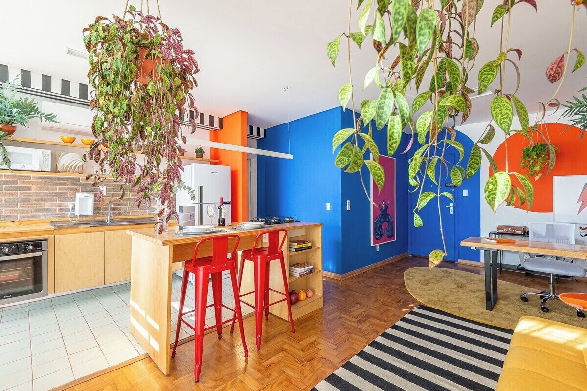 A modern kitchen with a hanging plant, red bar stools, and a blue accent wall.