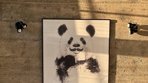 En inramad tavla med en panda på en vägg med tydlig struktur, en beige soffa och två vägglampor.