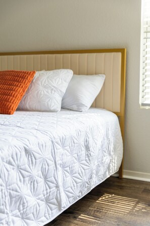 Iron/ironing board, WiFi, bed sheets - Charming 3-bedroom house in lovely Conway with AC comfort (Conway)