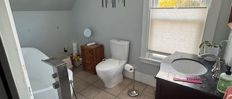 Hair dryer, towels, soap, toilet paper