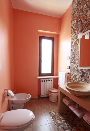 Ducha, secador de pelo y toallas