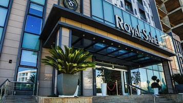 A hotel entrance with a modern facade, a large potted plant, and a clear view of the entrance area.