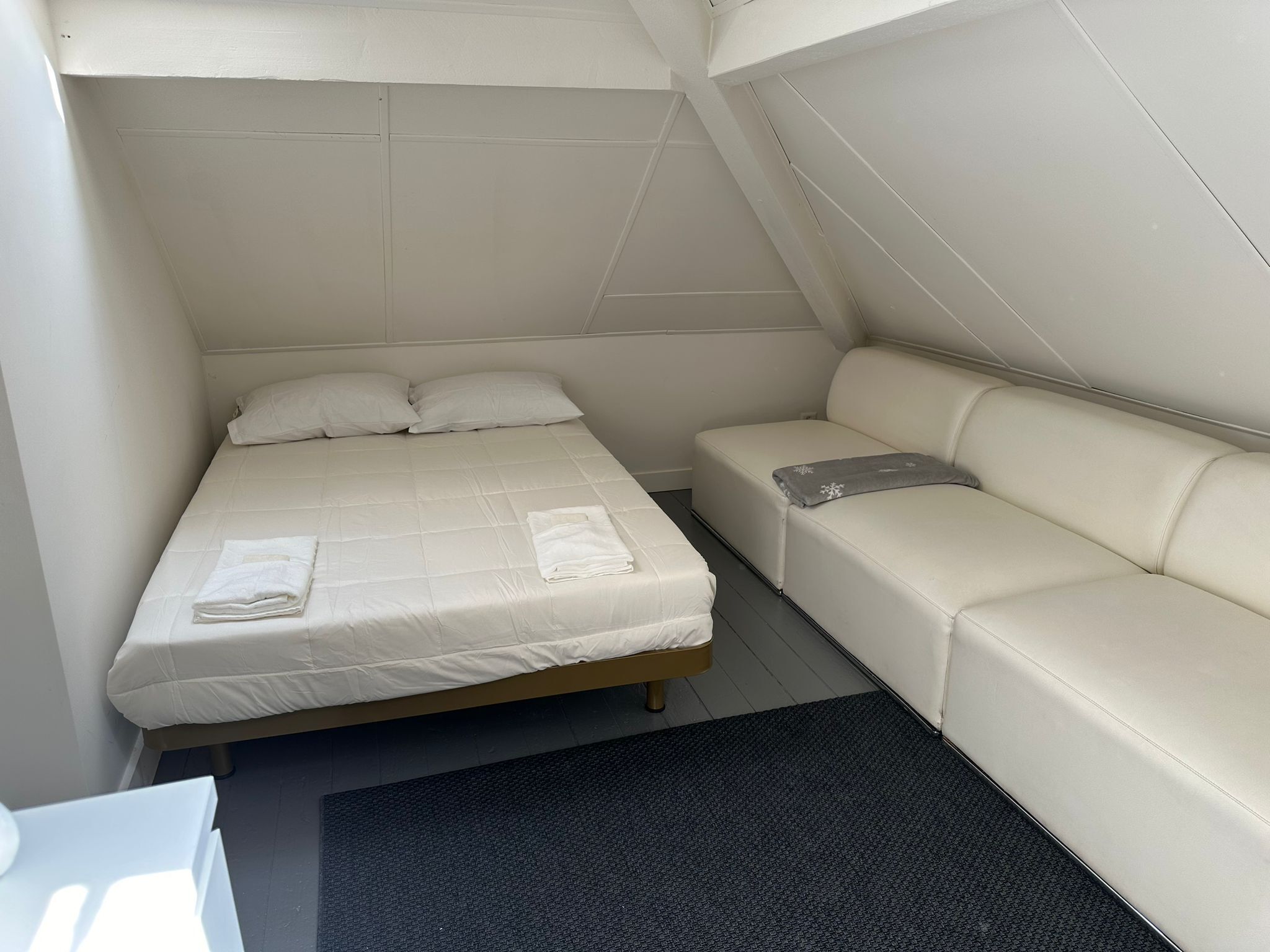 A small, compact room with a bed, a sofa, and a small table.