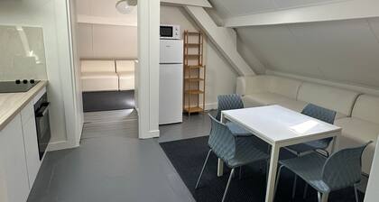 Bel appartement en attique Ă GenĂšve Veyrier SalĂšve