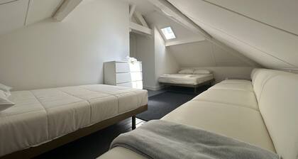 Beautiful penthouse apartment in Geneva Veyrier Salève