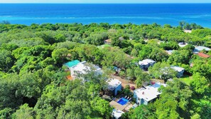 Vista aérea de una zona residencial con casas rodeadas de abundante vegetación y una vista despejada del océano.