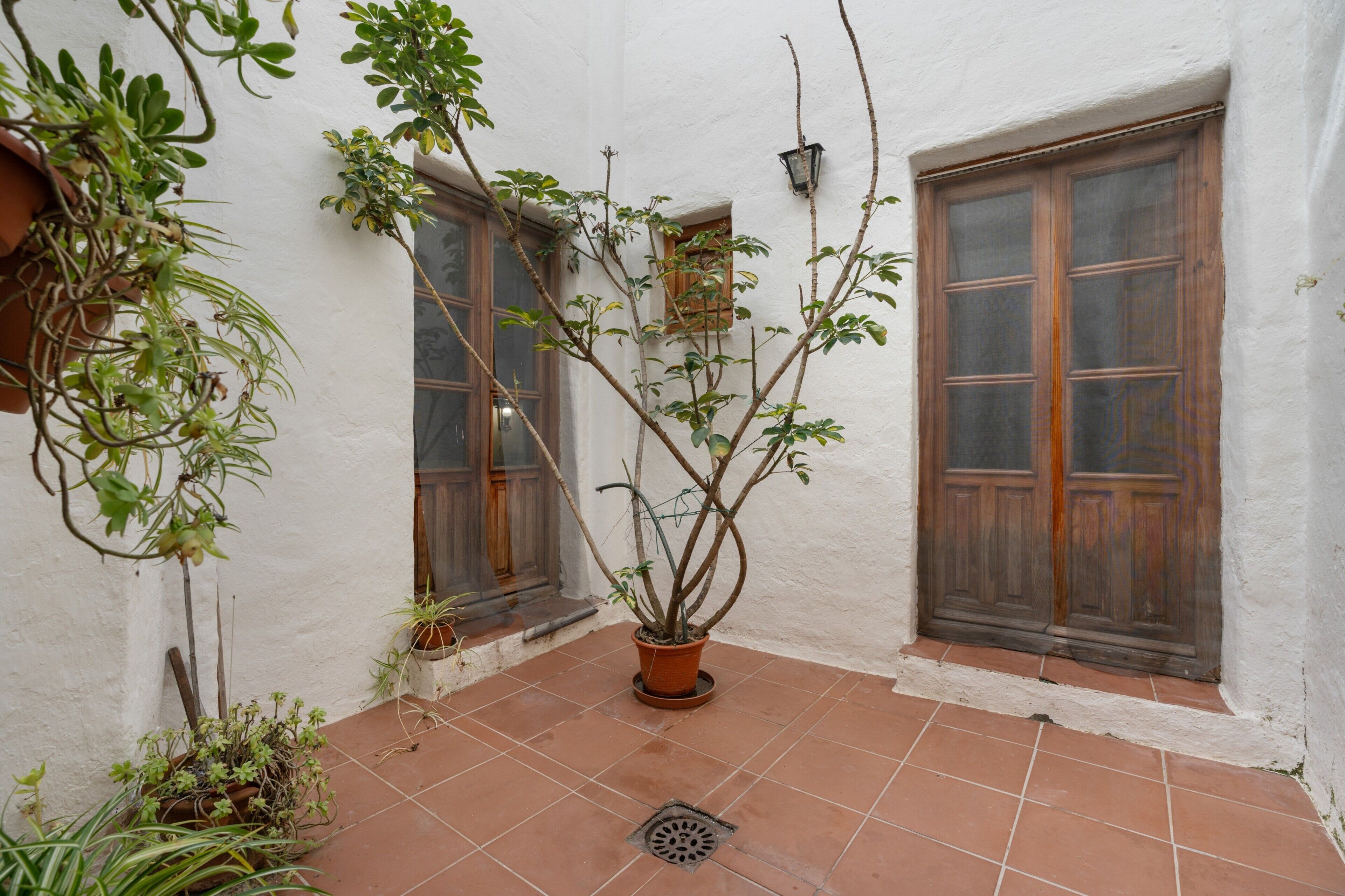 Un patio con plantas en macetas, una rejilla metálica y puertas de madera.