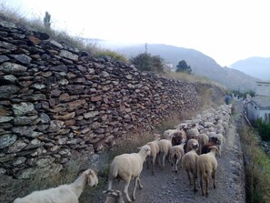 Miscellaneous - Country House 'Casa De La Fuente' with Mountain View, Private Terrace and Wi-Fi (Bubión)