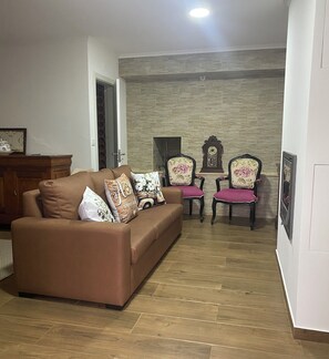 TV connectée, cheminée, livres