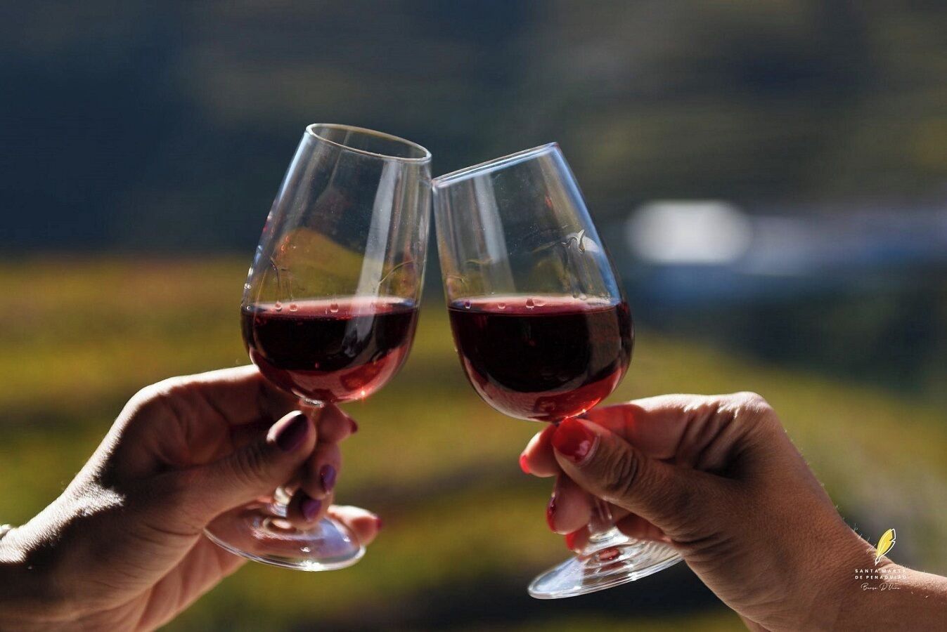 Two hands holding wine glasses with a blurred outdoor background.