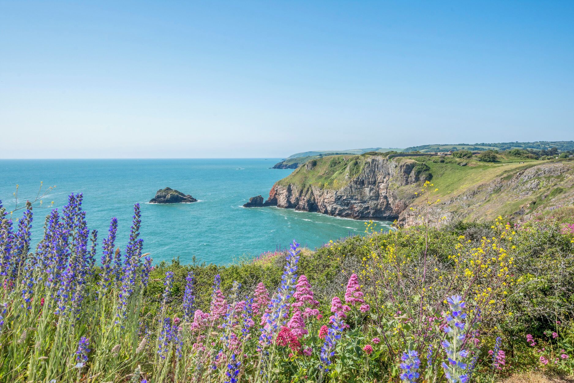 A coastal landscape with cliffs, a clear sky, and wildflowers.