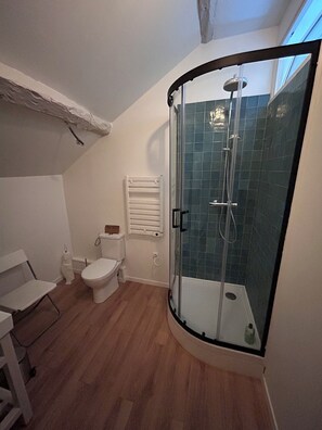 Dusche, Handtücher, Toilettenpapier