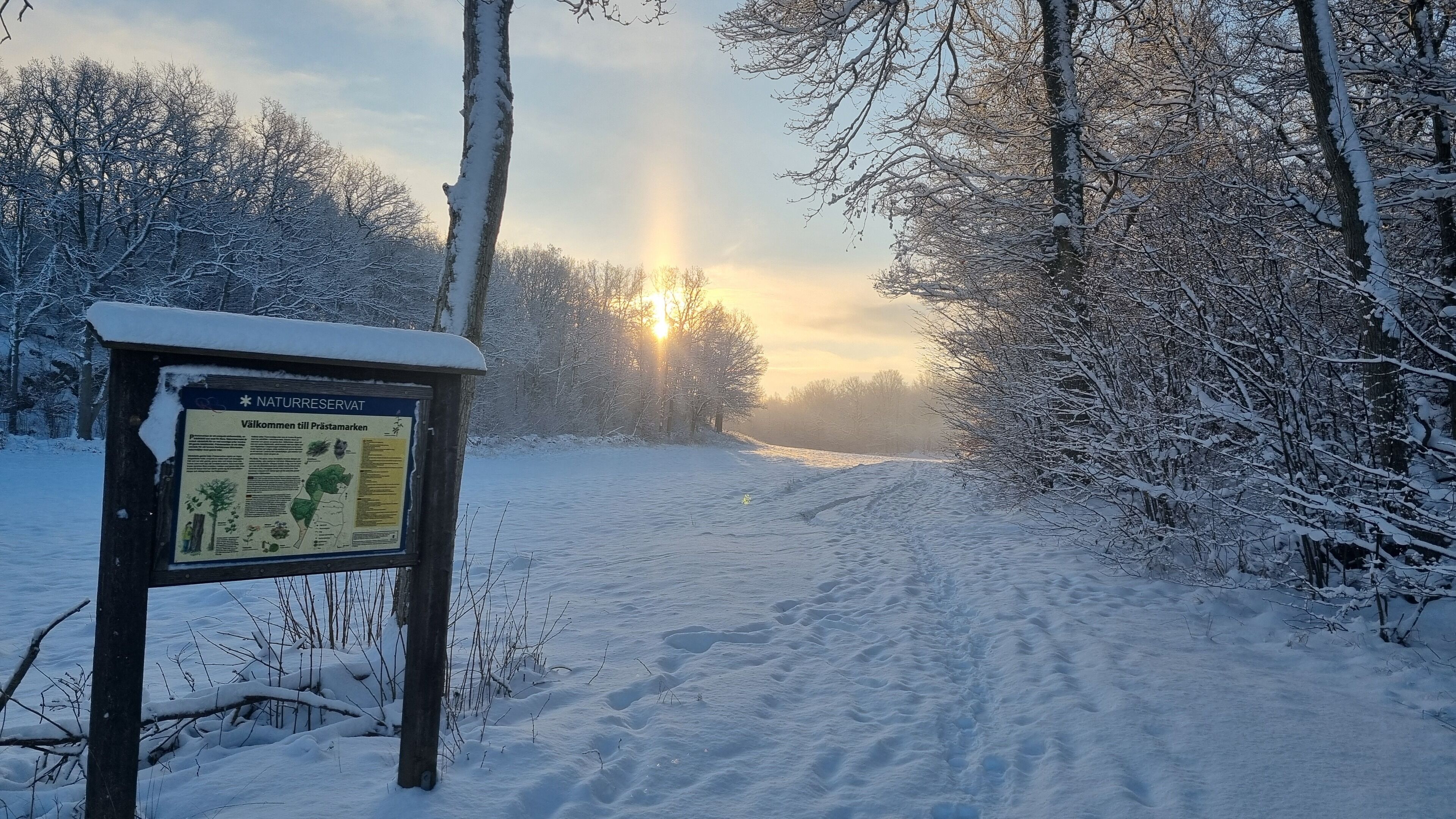 Winter im Naturschutzgebiet Prästamarken mit herrlichen Wanderwegen.