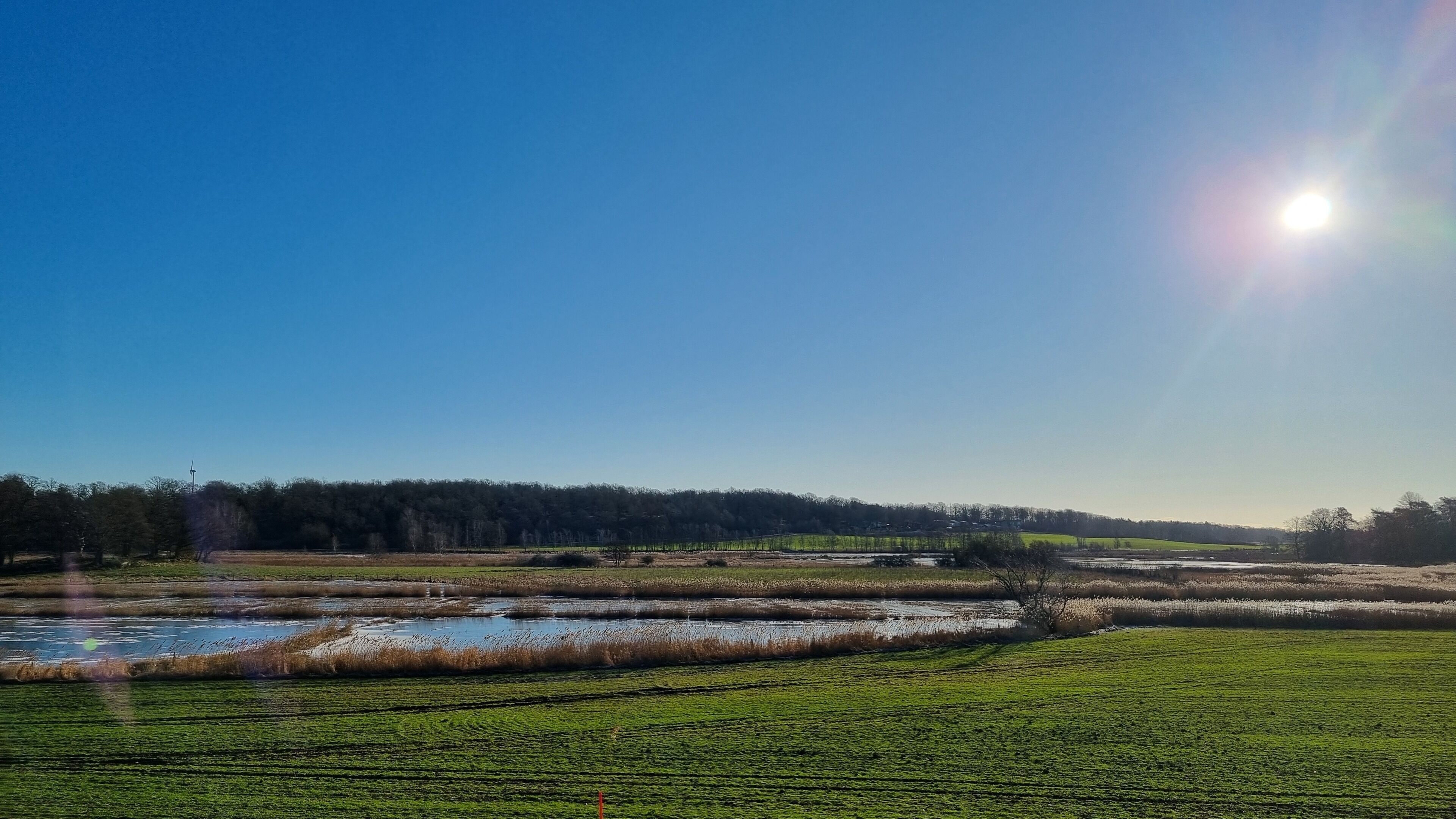 A landscape with a clear sky, a body of water, and a forest in the background.