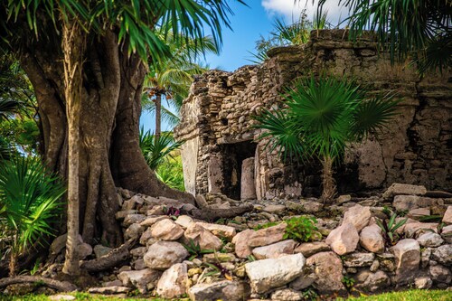 Villa Coral - Playacar Private Pool Villa - Walk to Beach - 4BR Sleeps 8