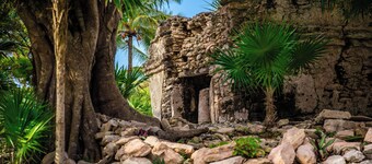 Villa Coral - Playacar Private Pool Villa - Walk to Beach - 4BR Sleeps 8