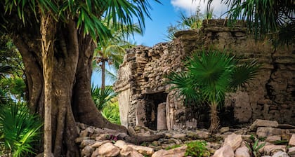 Villa Coral - Playacar Private Pool Villa - Walk to Beach - 4BR Sleeps 8