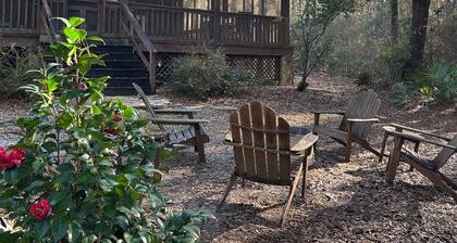 Cozy 2-bedroom cabin on the river in Vancleave