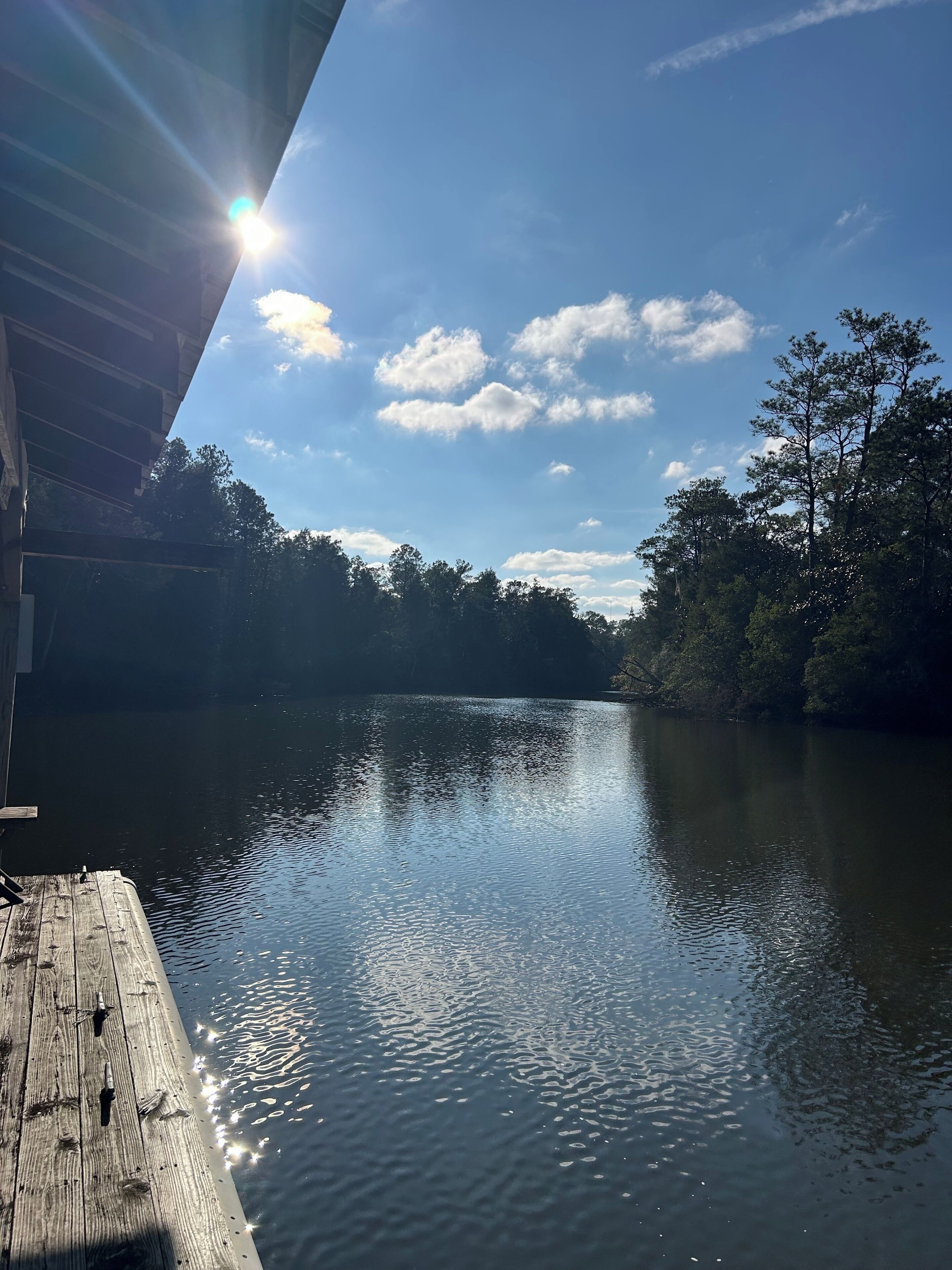 A wooden dock extending into a calm lake with trees in the background and a clear sky.